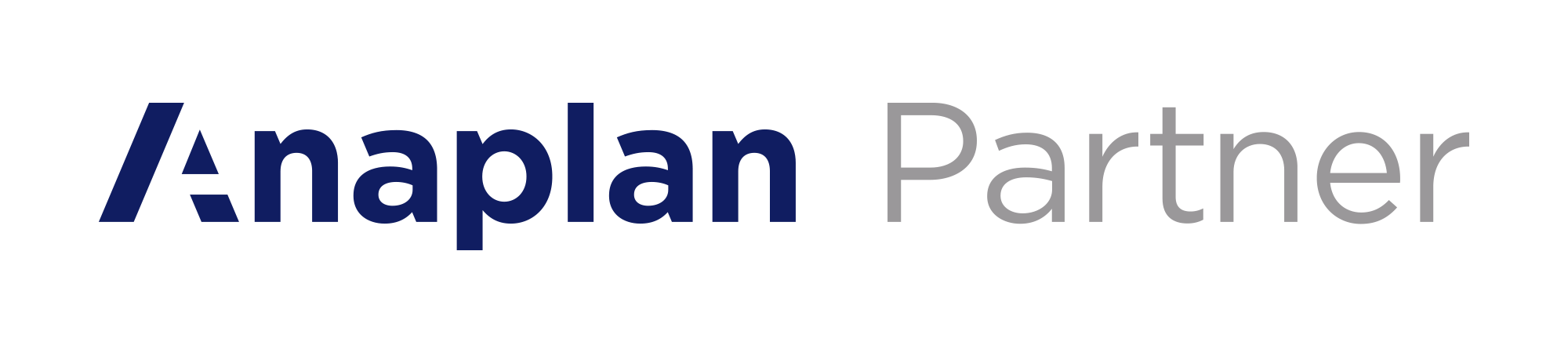 anaplan partner